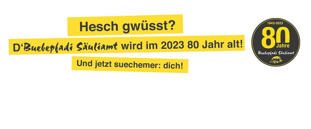 Bild für Die Buebepfadi Säuliamt wird 80!