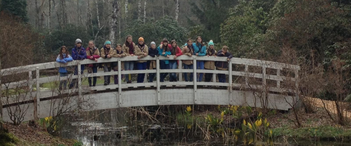 Bild für Stamm Turicum im Seleger Moor